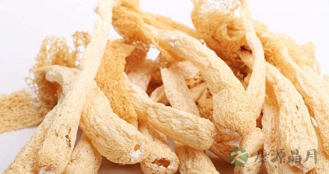 竹笙的营养价值_吃竹笙的好处 竹笙的营养价值_吃竹笙的好处