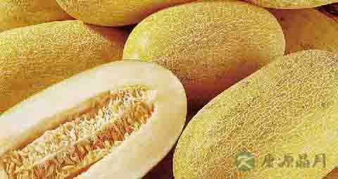 哈密瓜的功效与作用