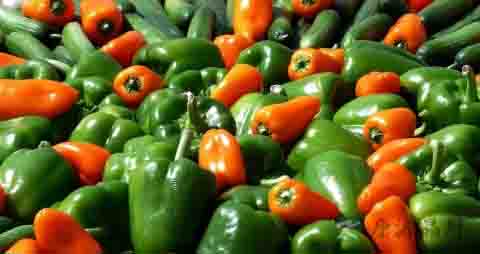 青椒怎么做泡菜 青椒怎么做泡菜