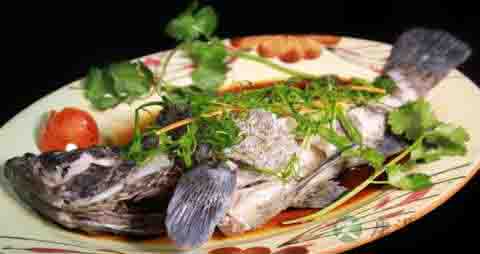 石斑鱼的营养价值_吃石斑鱼的好处 石斑鱼的营养价值_吃石斑鱼的好处