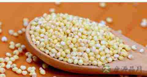 黍米的营养价值_吃黍米的好处