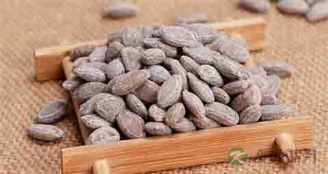 吊瓜子上火吗 吊瓜子上火吗