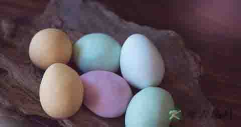 蛋黄可以做什么甜品 蛋黄可以做什么甜品