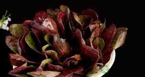 补血菜的营养价值_吃补血菜的好处