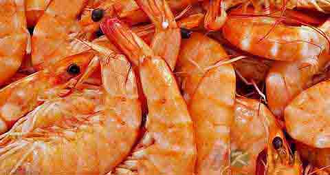 虾和苹果能一起吃吗 虾和苹果能一起吃吗