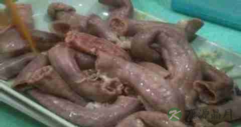猪小肠的营养价值_吃猪小肠的好处