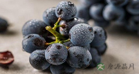 夏黑葡萄的吃法_哪些人不能吃夏黑葡萄 夏黑葡萄的吃法_哪些人不能吃夏黑葡萄