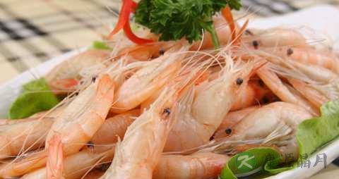 白米虾的营养价值_吃白米虾的好处