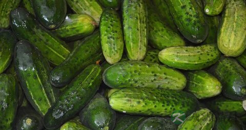 怎么腌制黄瓜好吃