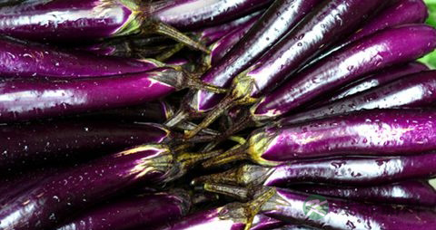 茄子怎么做不发黑 茄子怎么做不发黑