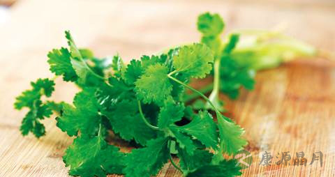 香菜的保存方法