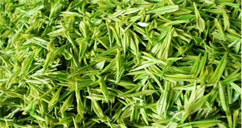 白茶的营养价值_吃白茶的好处