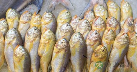 大头仔鱼的营养价值_吃大头仔鱼的好处 大头仔鱼的营养价值_吃大头仔鱼的好处