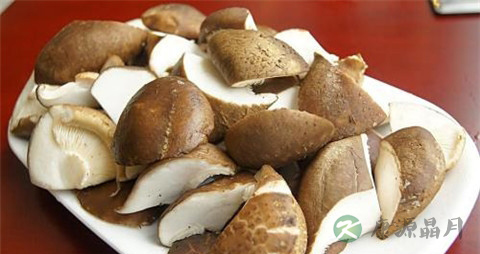 怎么泡香菇更快 怎么泡香菇更快