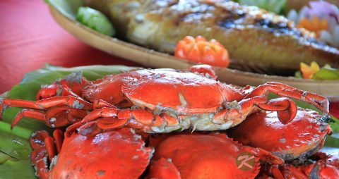 螃蟹怎么蒸不掉腿 螃蟹怎么蒸不掉腿