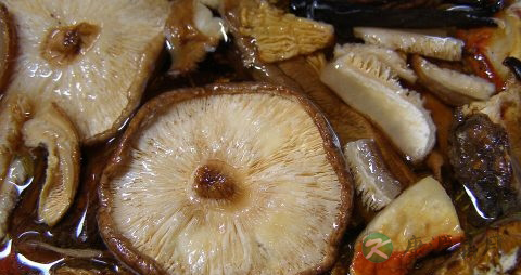 香菇需要焯水吗