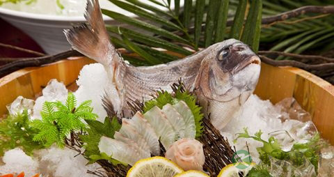 同乐鱼的营养价值_吃同乐鱼的好处