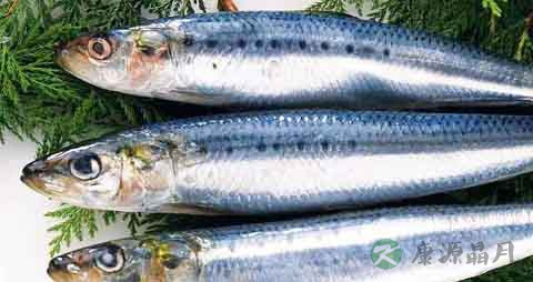 燕鲅鱼的营养价值_吃燕鲅鱼的好处 燕鲅鱼的营养价值_吃燕鲅鱼的好处