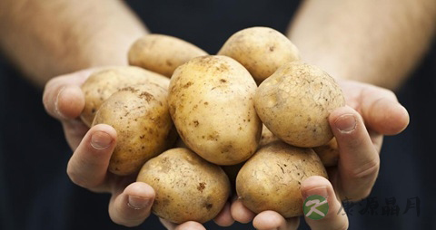 土豆怎么吃最营养
