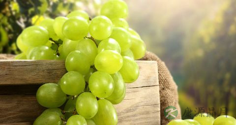 葡萄放冰箱能放多久