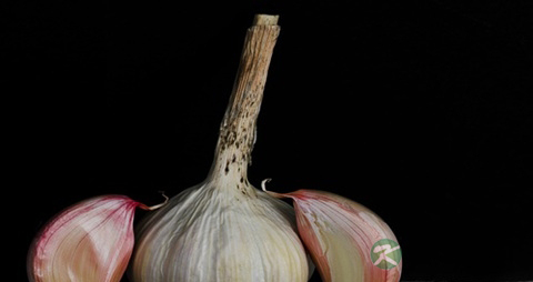 黑蒜多吃有副作用吗