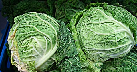 卷心菜做沙拉要焯水吗