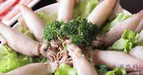 海兔的营养价值_吃海兔的好处