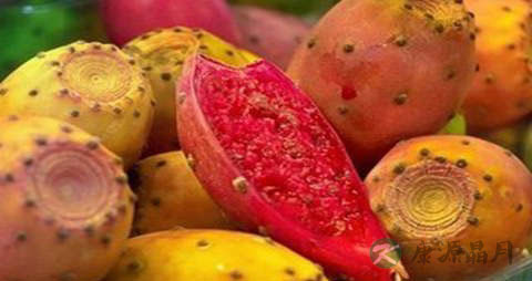 仙人掌果的吃法_哪些人不能吃仙人掌果