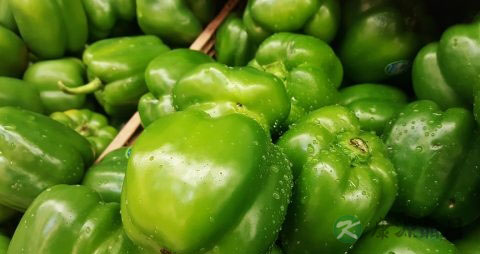青椒是酸性还是碱性
