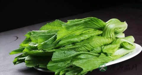 把芥菜的营养价值_吃把芥菜的好处