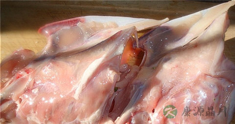 鸡骨架的吃法_哪些人不能吃鸡骨架