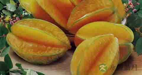 阳桃的营养价值_吃阳桃的好处 阳桃的营养价值_吃阳桃的好处