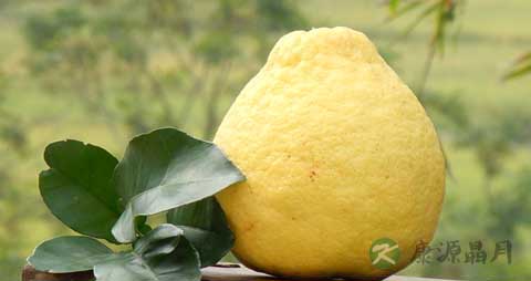 沙田柚的营养价值_吃沙田柚的好处