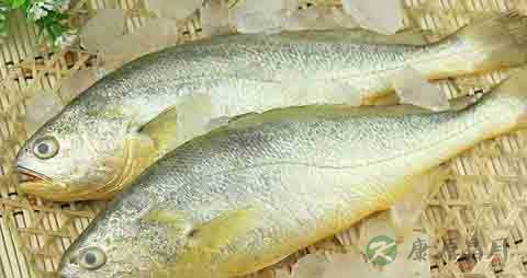 小黄花鱼的吃法_哪些人不能吃小黄花鱼