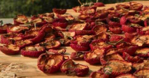 石榴皮煮水的副作用 石榴皮煮水的副作用