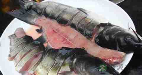 钳鱼的营养价值_吃钳鱼的好处