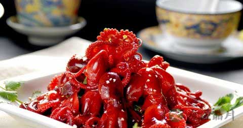 八爪鱼的吃法_哪些人不能吃八爪鱼