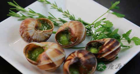 香螺的吃法_哪些人不能吃香螺