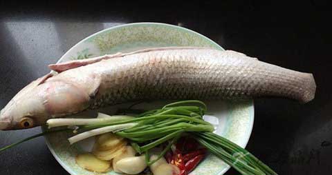 鲻鱼的吃法_哪些人不能吃鲻鱼