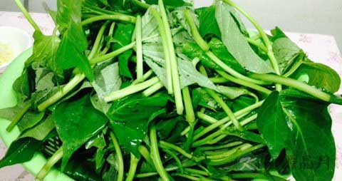 红薯苗的营养价值_吃红薯苗的好处