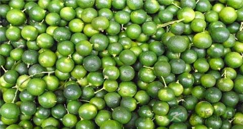 青金桔的吃法_哪些人不能吃青金桔