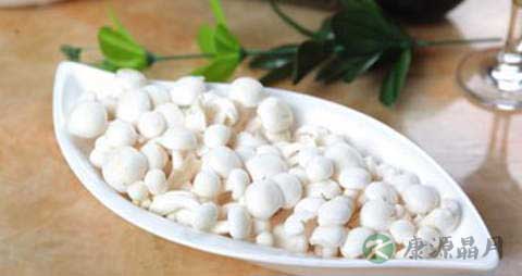 胶玉蘑的营养价值_吃胶玉蘑的好处