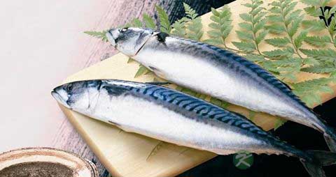 青鲐鱼的吃法_哪些人不能吃青鲐鱼