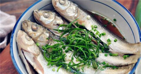 华子鱼的营养价值_吃华子鱼的好处 华子鱼的营养价值_吃华子鱼的好处