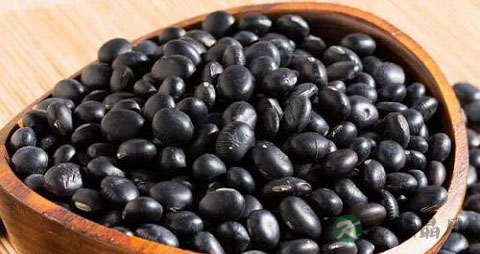 如何辨别真假黑豆 如何辨别真假黑豆