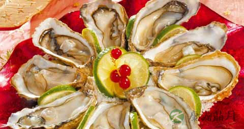 海蛎子的营养价值_吃海蛎子的好处