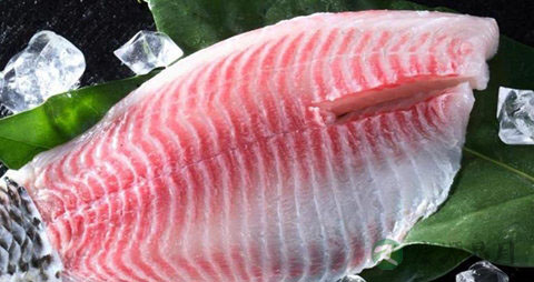 鱼片的吃法_哪些人不能吃鱼片