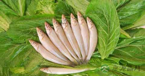 沙尖鱼的营养价值_吃沙尖鱼的好处