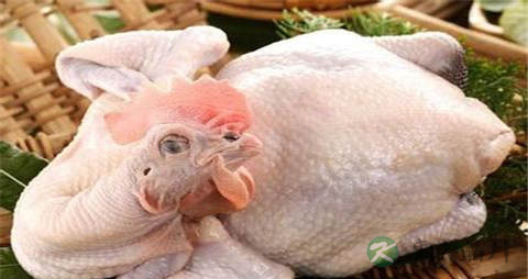 鸡肉的营养价值_吃鸡肉的好处