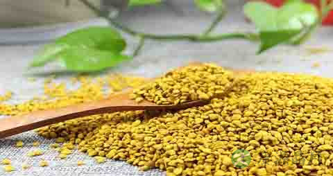 油菜花粉的营养价值_吃油菜花粉的好处 油菜花粉的营养价值_吃油菜花粉的好处